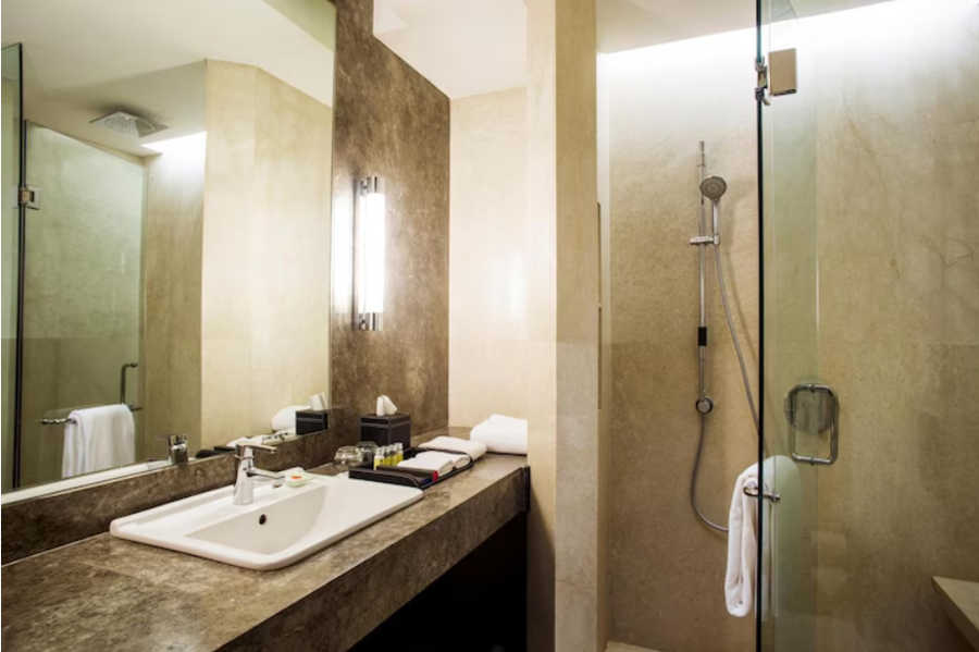 The Hans Hotel New Delhi,Connaught Place,4 star